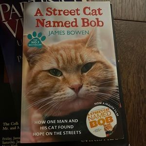 Cat and a street person